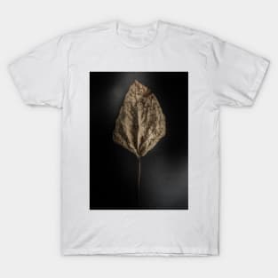 Leaves No 11 Color Version T-Shirt